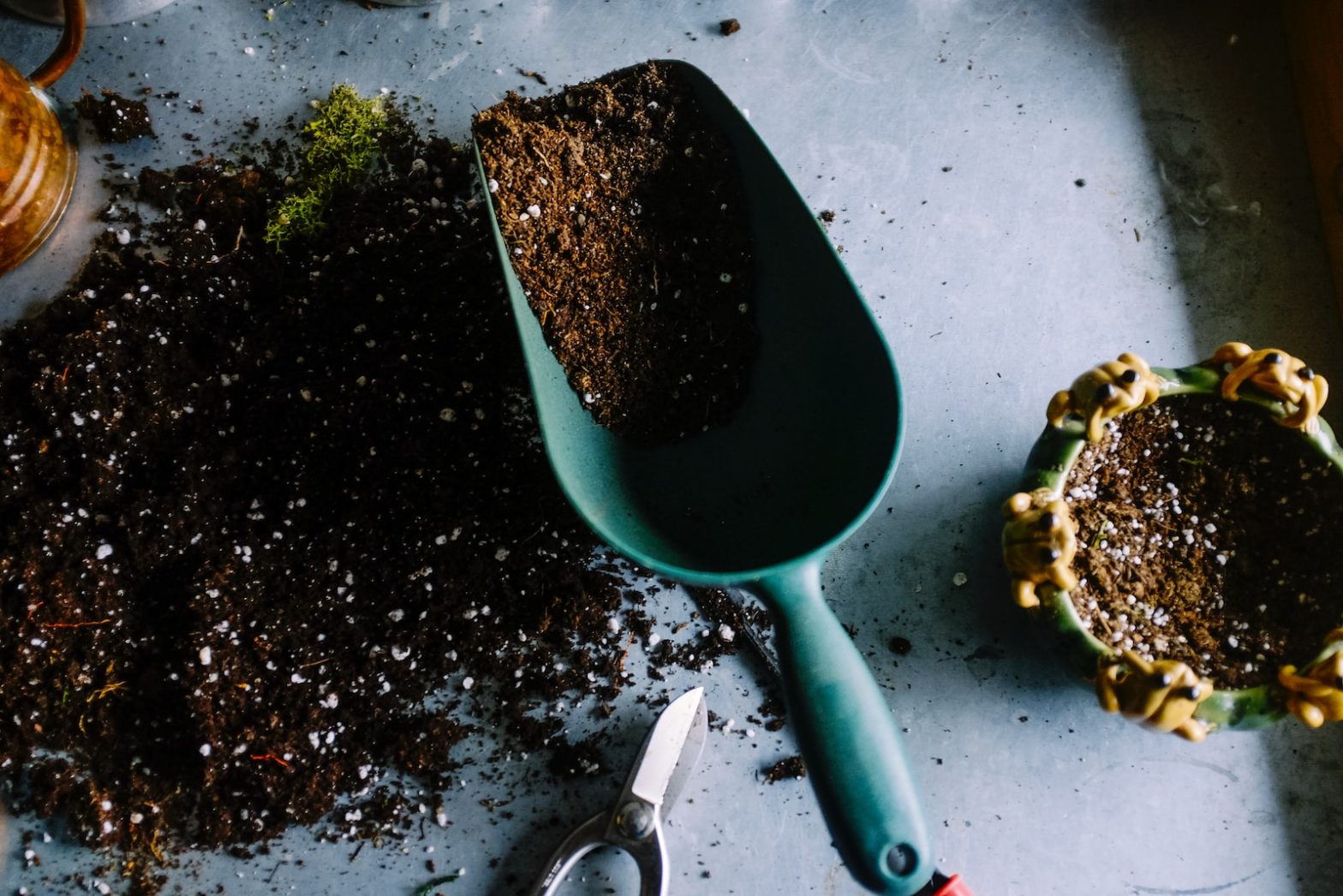 The Pros And Cons Of Organic Fertilizers