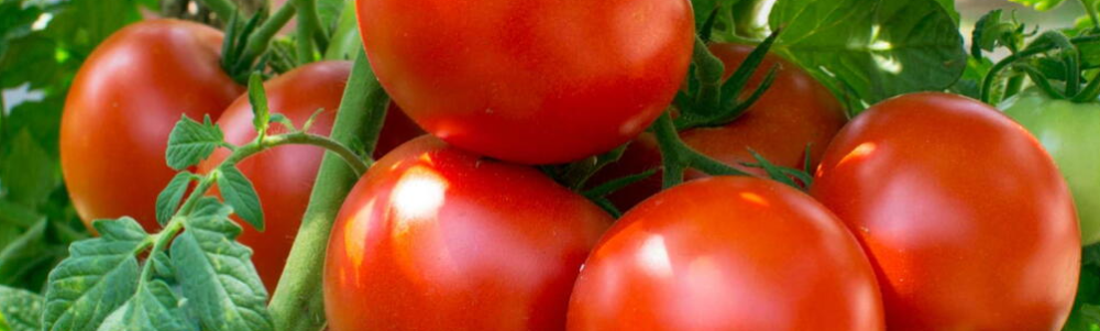 User banner image